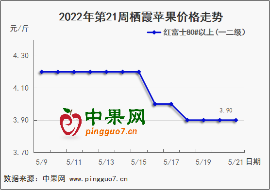 圖表 1