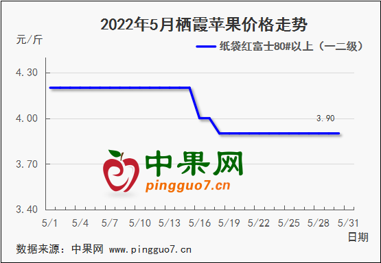 圖表 1