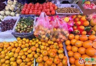 秋日“限定美味”上市 ()