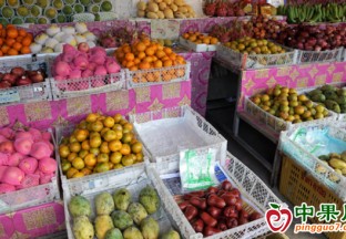 秋冬水果上市高峰價格穩 ()