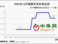 晚富士地面交易掃尾　后市行情如何發展? ()
