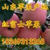 18369313268山東日照紅富士蘋果批發(fā)基地