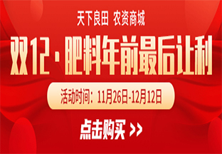 天下良田”雙12”年前最后讓利 ()