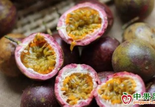 全國首批進口越南百香果入華 ()