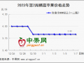 春節(jié)備貨進(jìn)行時  蘋果價格略顯混亂 ()