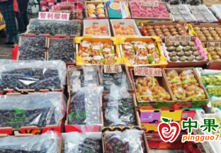 南寧水果市場迎來消費“黃金期”！ ()