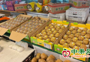 節后煙臺水果價格變動較小 ()