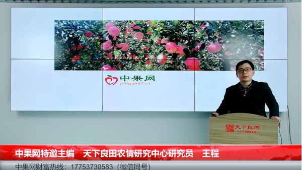 2022-2023年蘋果市場調研報告 ()
