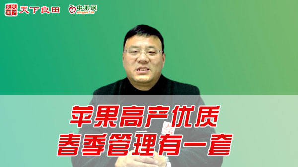 蘋果高產(chǎn)優(yōu)質 春季管理有一套 ()