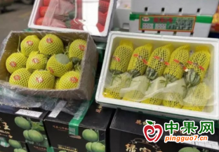 徐州早春水果搶“鮮”上市 ()