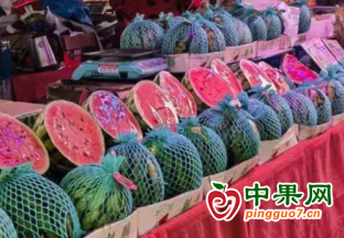 濟南西瓜上市 價格同比偏高 ()