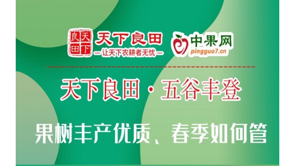 果樹豐產(chǎn)優(yōu)質、春季如何管 ()