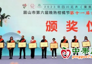 丹棱不知火節開幕！ ()