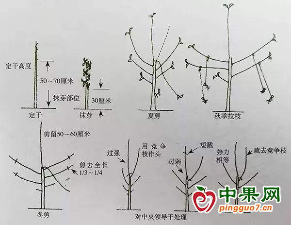 圖片3
