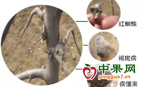 圖片1