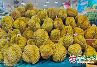廣西市場(chǎng)榴蓮降價(jià) ()