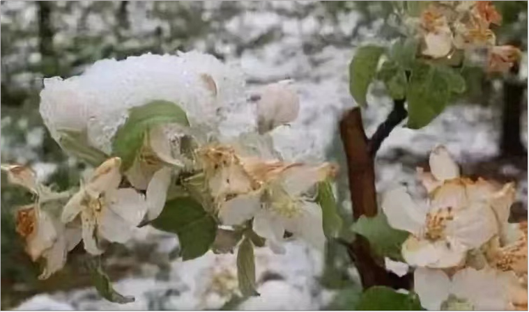 圖片1