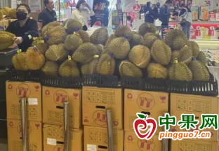 旺季大量上市 榴蓮價(jià)格爆降！ ()