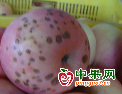 圖片2