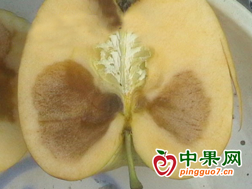圖片3