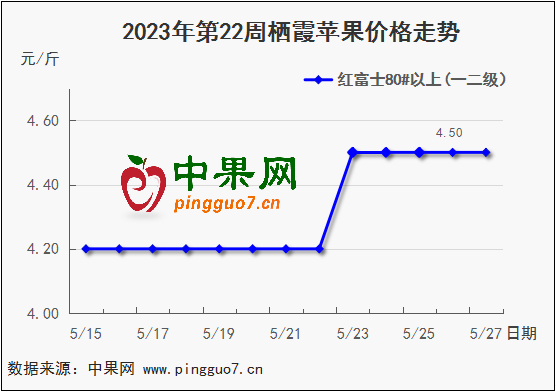 圖片1
