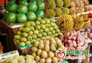 憑祥鐵路口岸進境水果大幅增長 ()