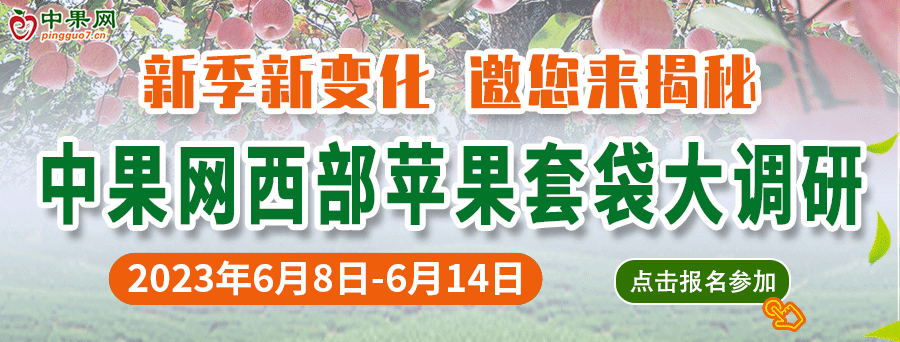 套袋調(diào)研1