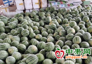 永川：五間西瓜直通車正式啟動(dòng) ()