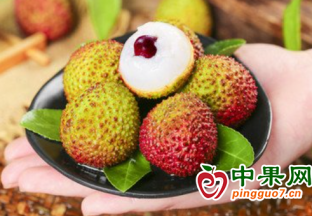 妃子笑荔枝行情急轉(zhuǎn)直下 ()