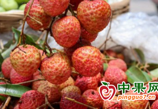 南寧機場荔枝出港總量達1452.2噸 ()