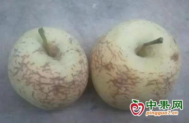 圖片1
