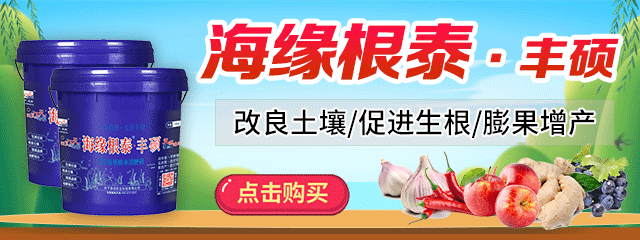 640-240-蘋果-桶