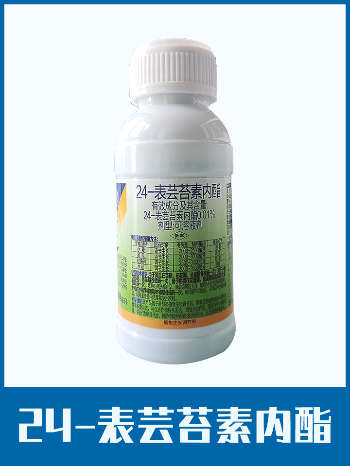 24-表蕓苔素內酯-中基