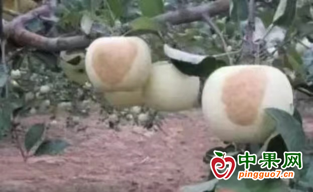 圖片2
