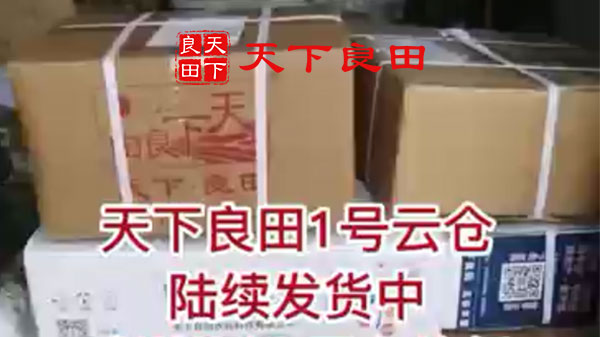 天下良田1號云倉陸續發貨中 ()