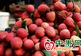 線上線下同發力 永春荔枝“走出去” ()