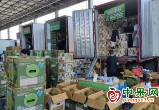 溫州水果批發市場榴蓮大量上市 ()