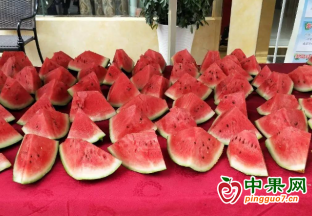 西瓜帶火鄉村“甜蜜經濟” ()