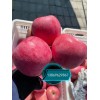 長(zhǎng)年供應(yīng)紅富士蘋(píng)果 美八 黃金帥