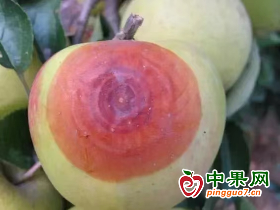 圖片2