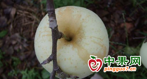 圖片2