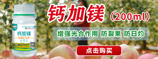鈣加鎂-小瓶