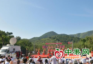 天津市薊州區(qū) 紅香酥梨帶起致富路 ()