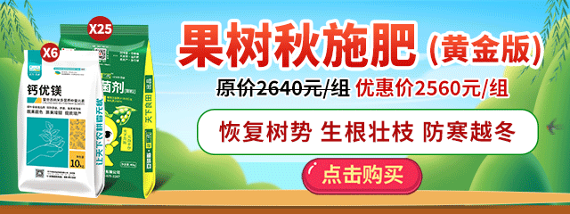 圖片 7