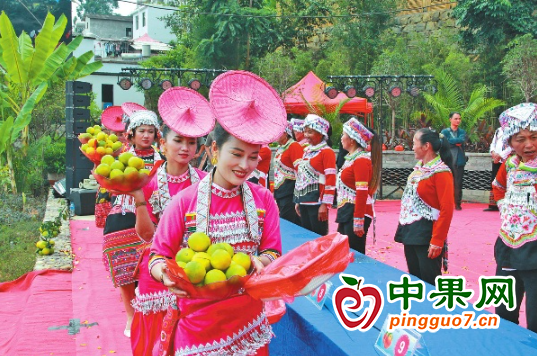 云南省水塘鎮(zhèn)舉辦柑橘豐收節(jié) ()