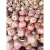 果農(nóng)直供大量膜袋紅富士