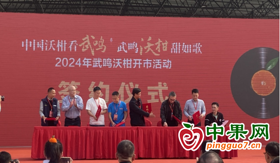 小沃柑成就百億產業 ()