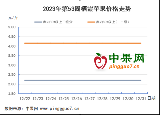 銷區走貨好轉 產地迎來利好 ()