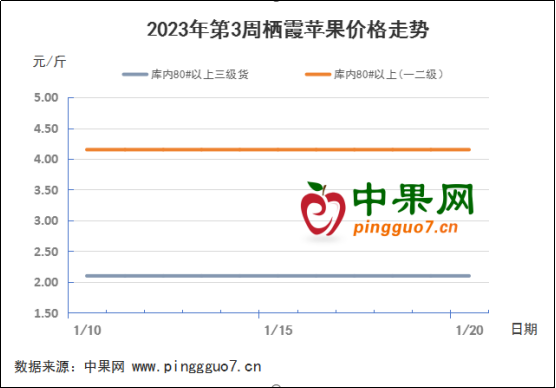 春節備貨清淡  蘋果交易壓力仍在 ()