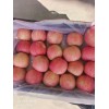 山東紅富士蘋(píng)果